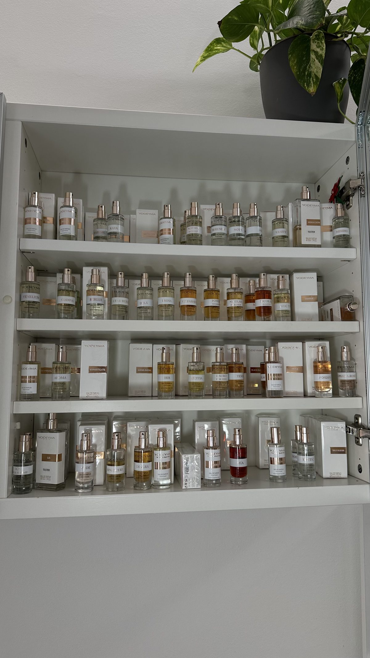 Prodotti professionali YODEYMA